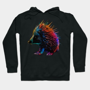 Porcupine Hoodie